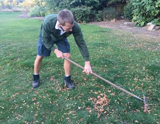 Raking lawn before mowing